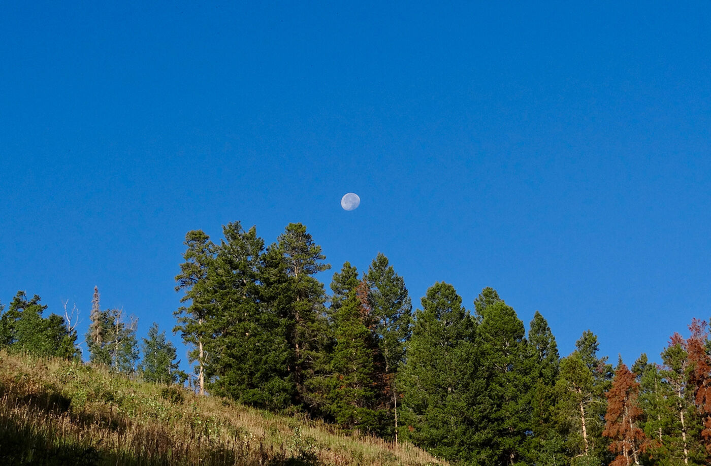 Goodbye moon